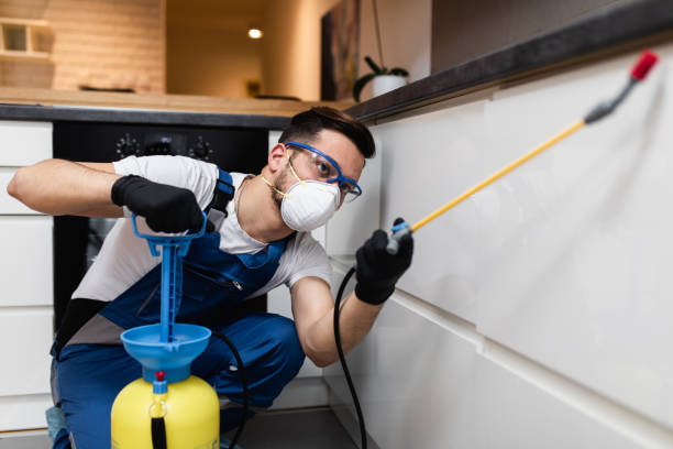 Best Bed Bug Extermination  in Richnd Heights, MO