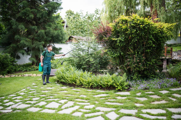 Best Best Pest Control Companies  in Richnd Heights, MO