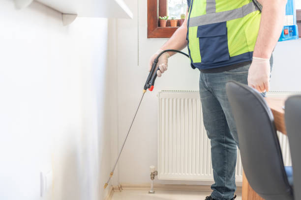 Best Flea Control Services  in Richnd Heights, MO