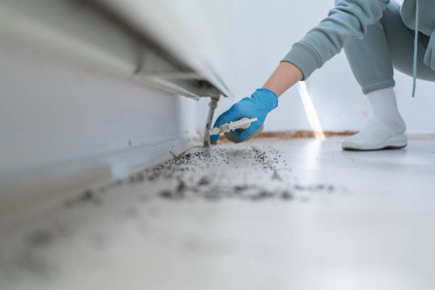 Best Best Pest Control Companies  in Richnd Heights, MO